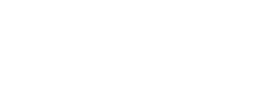 stellarcyber logo